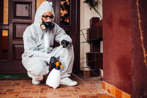Attic and Crawl Space Rodent Treatment in Hawaiian Acres