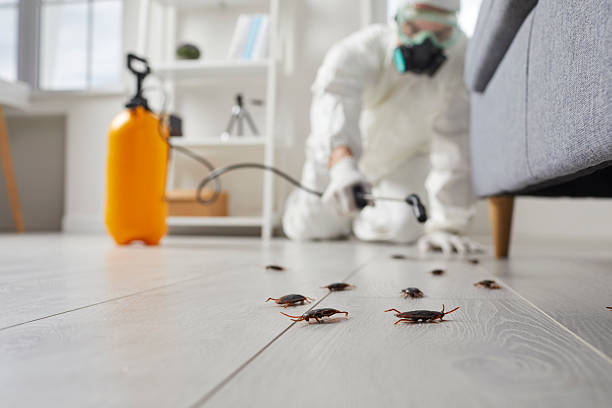 Commercial Rodent Management in Hawaiian Acres